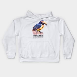 Collared Aracari tropical bird black text Kids Hoodie